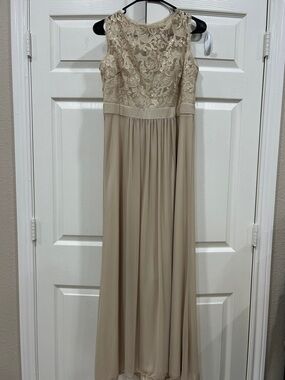 Adrianna Papell Lace & Chiffon Evening Dress in Soft Nude